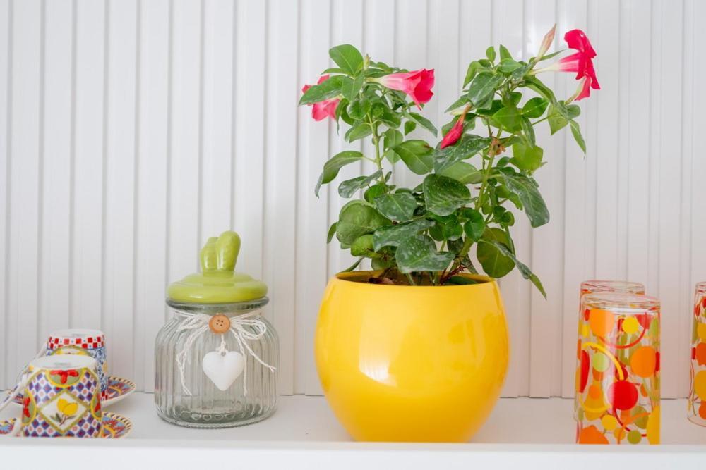 B&B Glass Paradise Catanzaro Luaran gambar